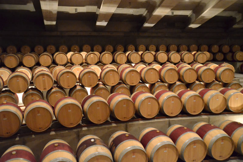 ruta_del_vino
